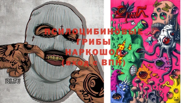 PSILOCYBIN Алексин