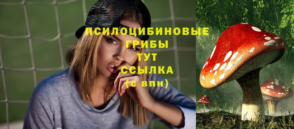 PSILOCYBIN Алексин