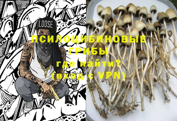 PSILOCYBIN Алексин