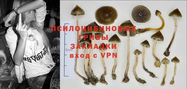 круглые Алексеевка