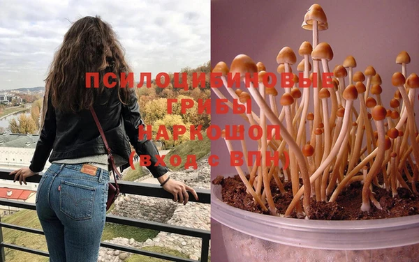PSILOCYBIN Алексин