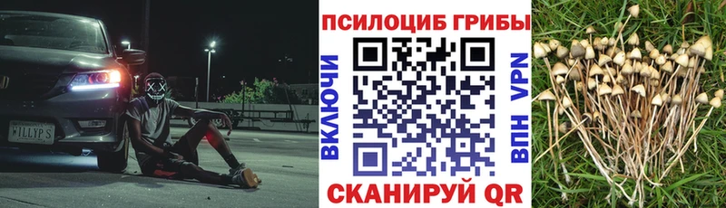 Псилоцибиновые грибы GOLDEN TEACHER  Лянтор 